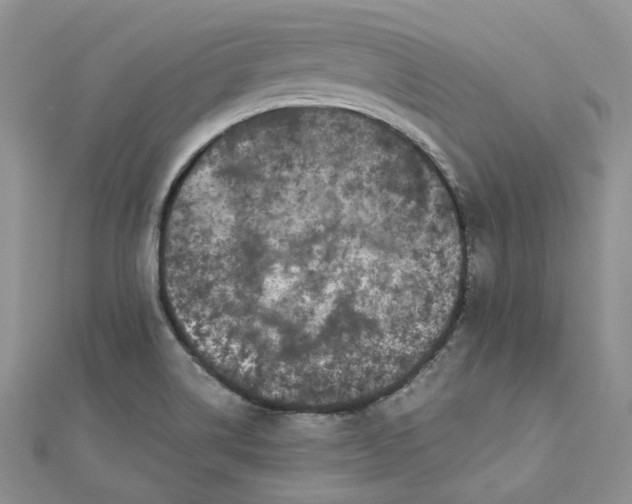 X0000112901514200909041712