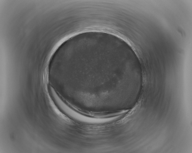 X0000112901515200909041712