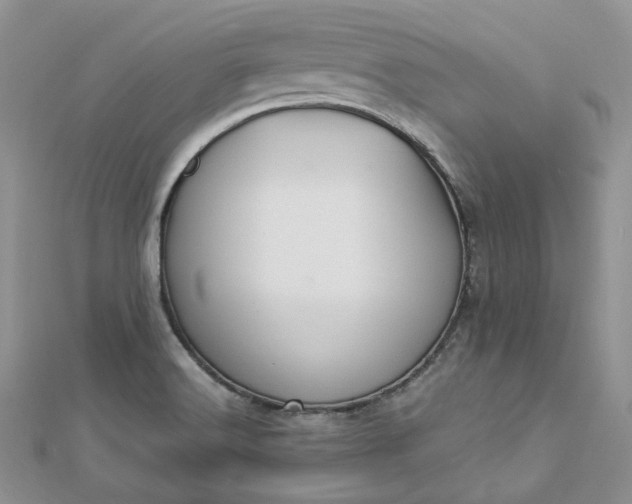 X0000112901516200909041712