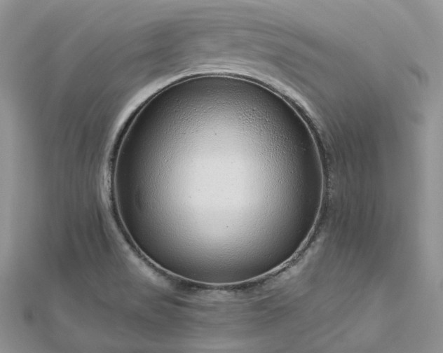 X0000112901517200909041712