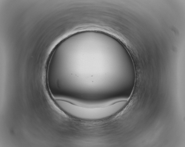 X0000112901518200909041712