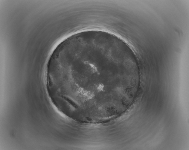 X0000112901519200909041712