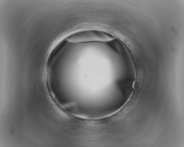 X0000112901520200909041712