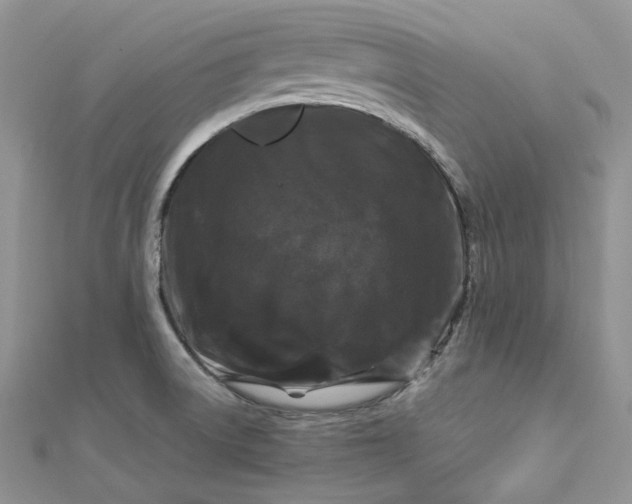 X0000112901522200909041712