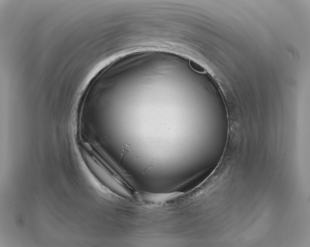 X0000112901523200909041712