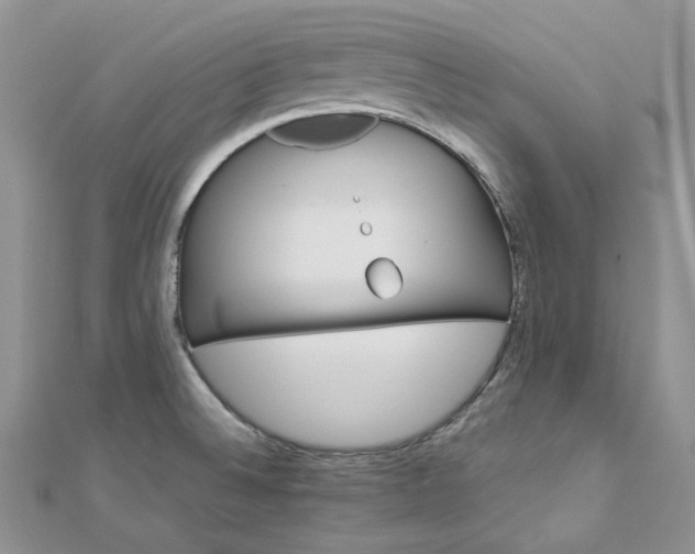 X0000112901524200909041712