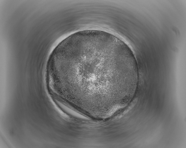 X0000112901525200909041712