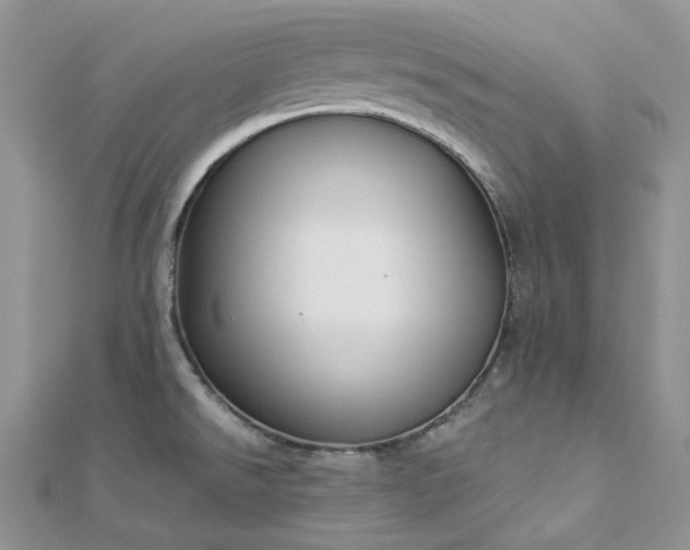 X0000112901526200909041712