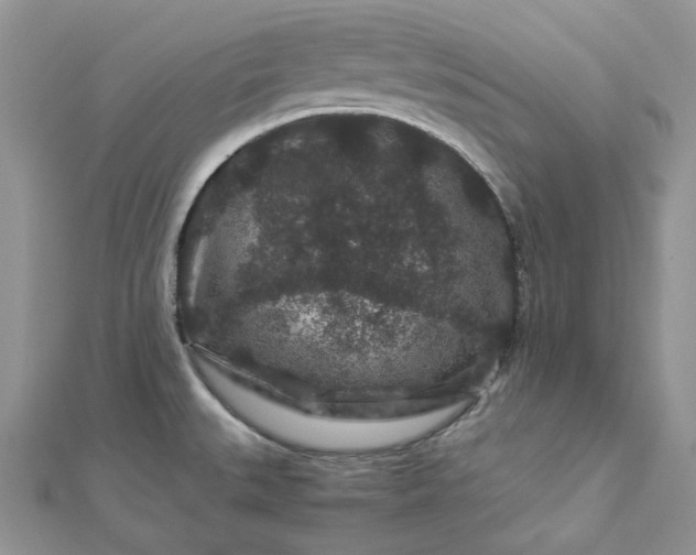 X0000112901527200909041712