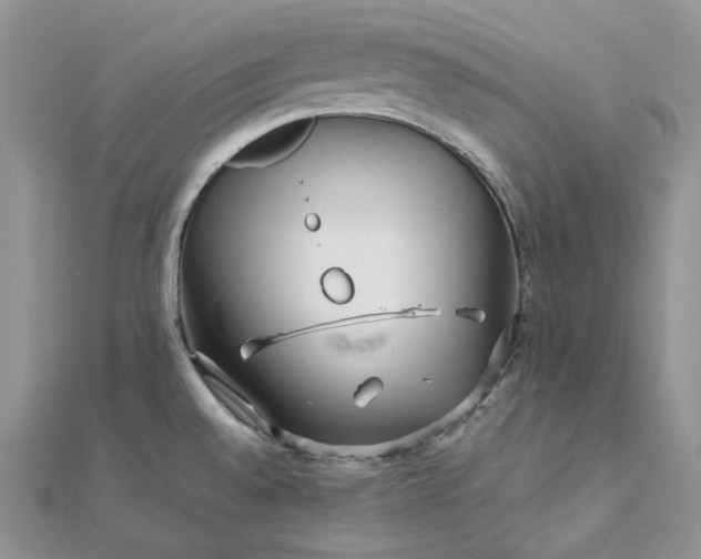 X0000112901528200909041712