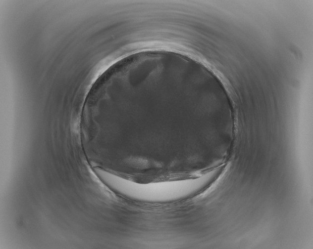 X0000112901529200909041712