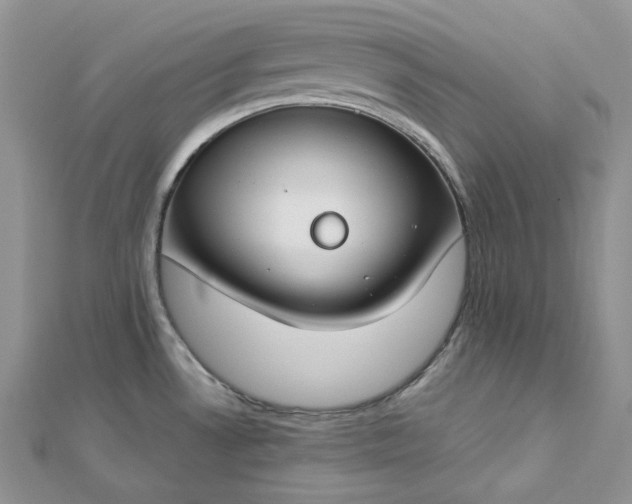 X0000112901530200909041712