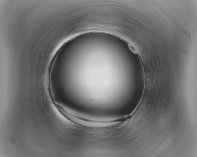 X0000112901531200909041712