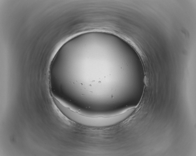 X0000112901532200909041712