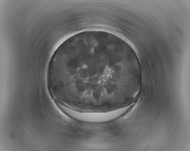 X0000112901533200909041712