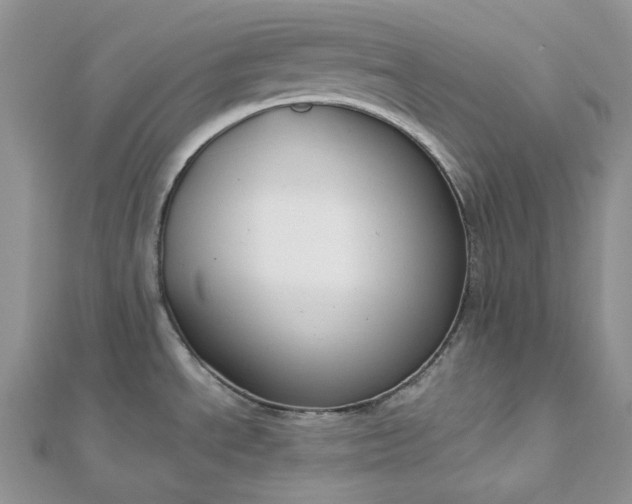 X0000112901534200909041712