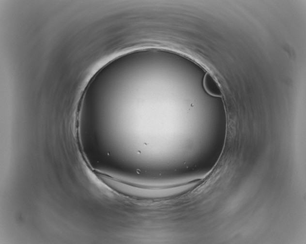 X0000112901535200909041712