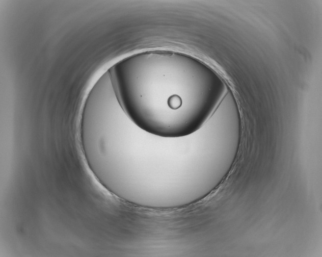 X0000112901536200909041712