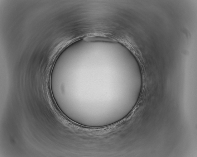 X0000112900001200909111535