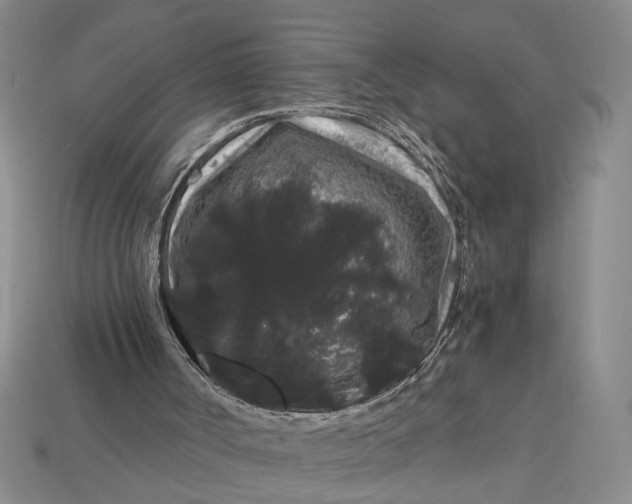 X0000112900002200909111535