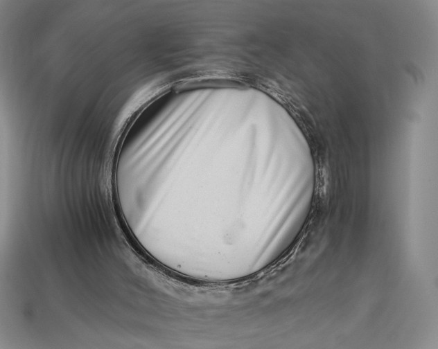 X0000112900004200909111535