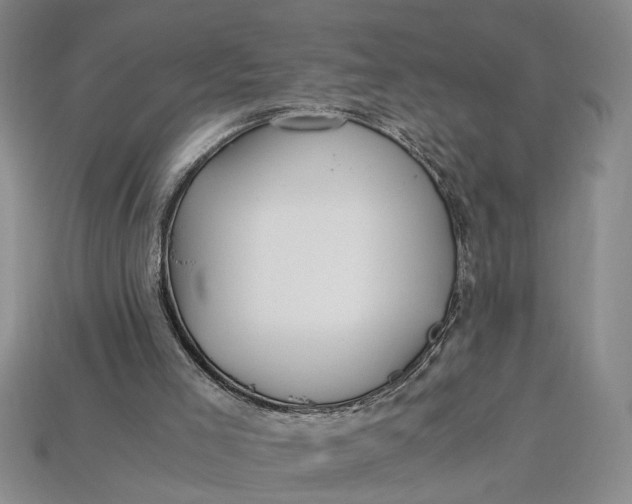 X0000112900005200909111535