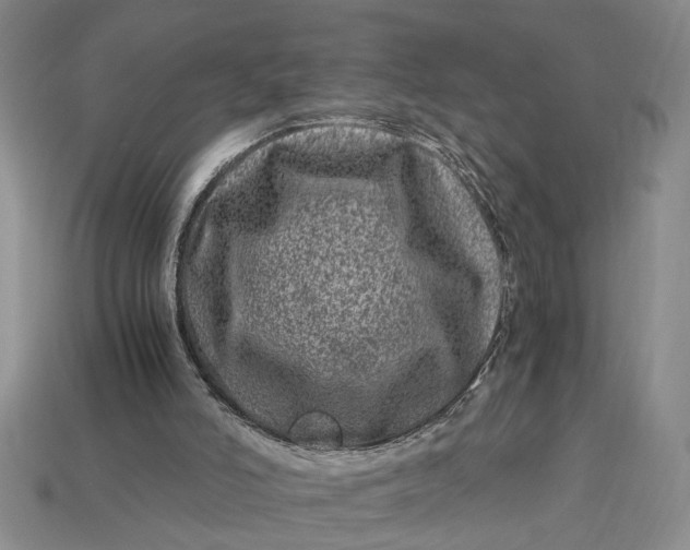 X0000112900006200909111535