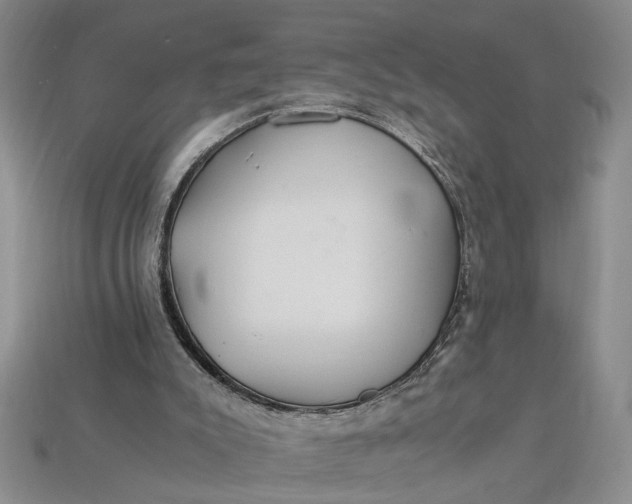 X0000112900007200909111535