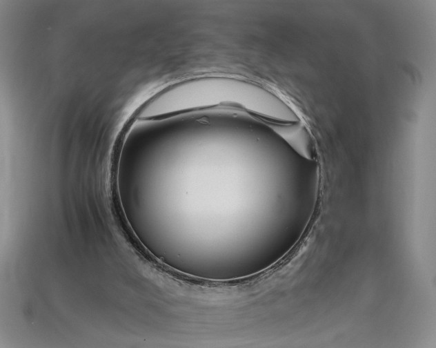 X0000112900008200909111535