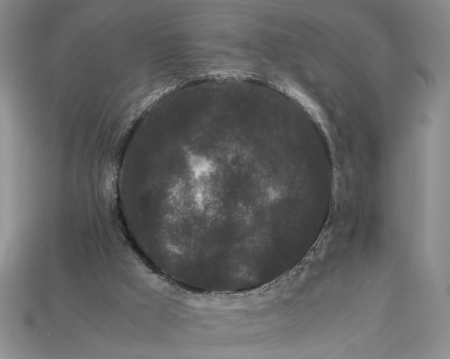 X0000112900009200909111535
