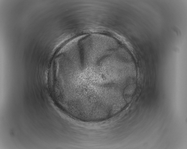 X0000112900010200909111535