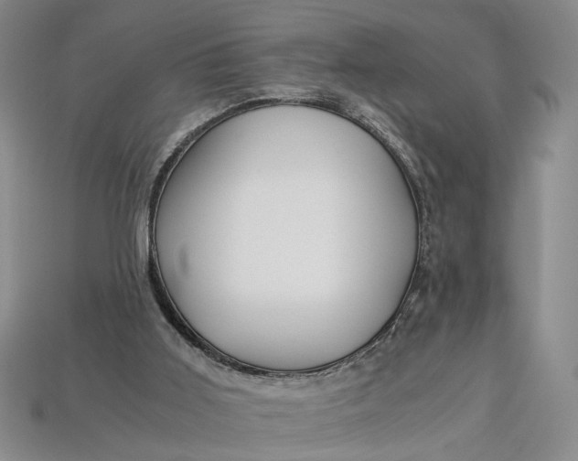 X0000112900011200909111535