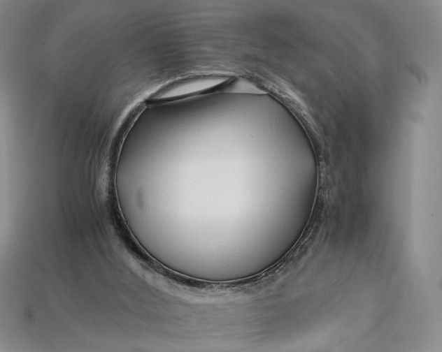 X0000112900012200909111535