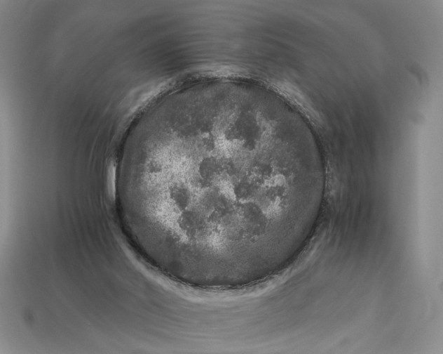 X0000112900014200909111534