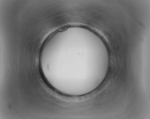 X0000112900015200909111534