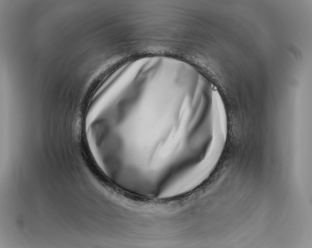 X0000112900016200909111534