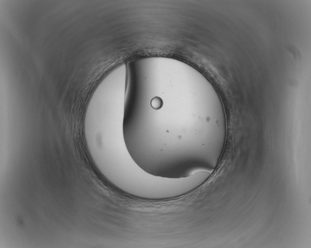 X0000112900017200909111534