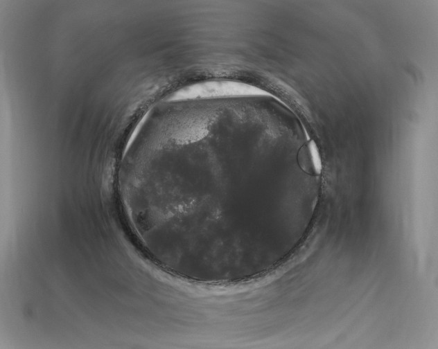 X0000112900018200909111534