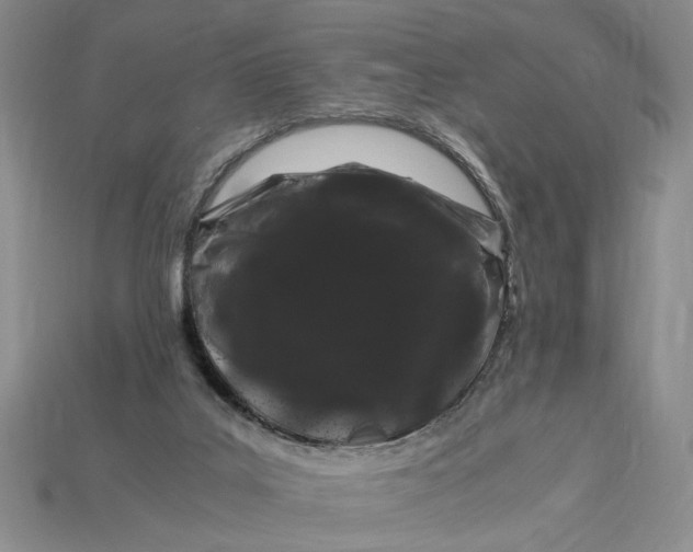 X0000112900019200909111534