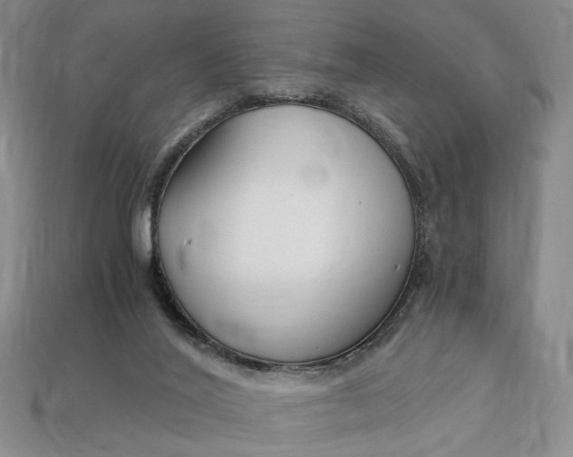 X0000112900020200909111534