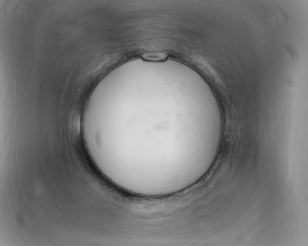 X0000112900021200909111534