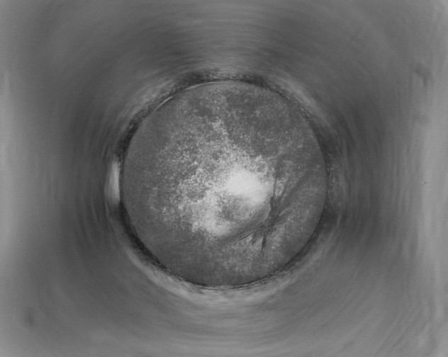 X0000112900022200909111534