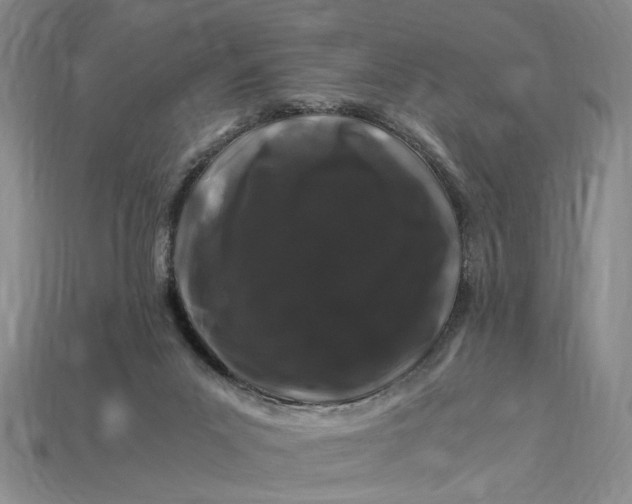 X0000112900023200909111534