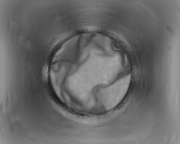 X0000112900024200909111534