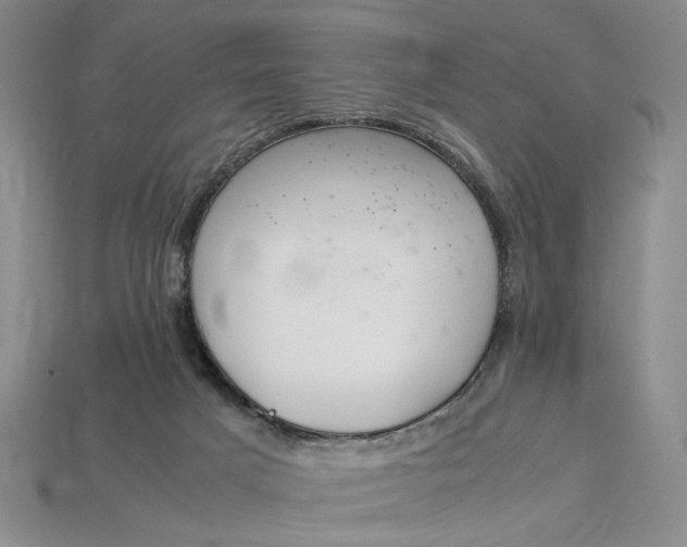 X0000112900025200909111534