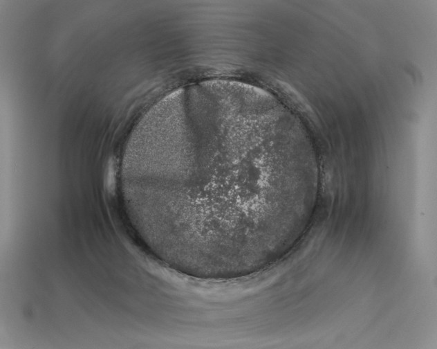 X0000112900026200909111534