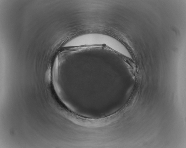 X0000112900027200909111534