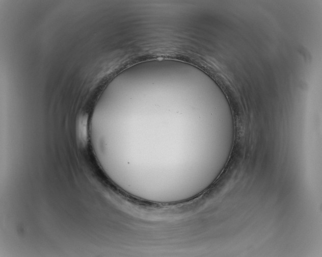 X0000112900028200909111534