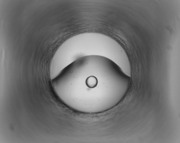 X0000112900029200909111534