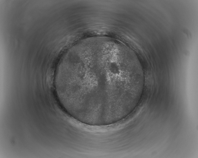 X0000112900030200909111534